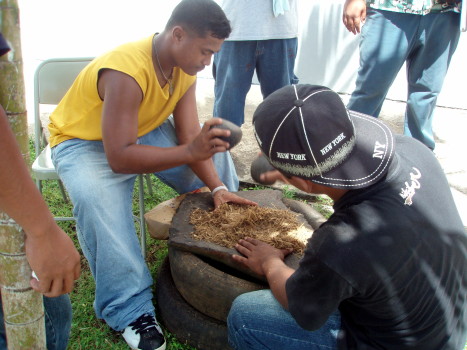 sssp_sakau sssp_sakau