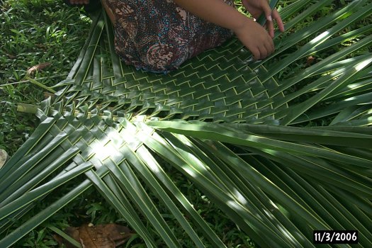 palm frond mat palm frond mat