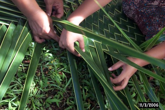 palm frond mat palm frond mat