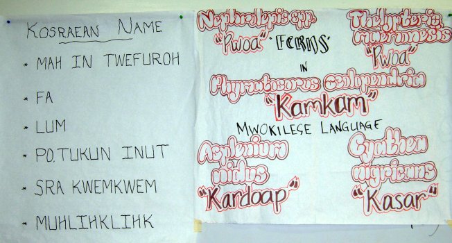 Kosraen and Mwokillese Kosraen and Mwokillese
