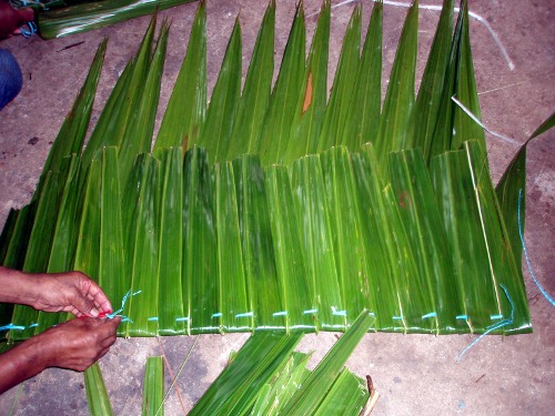 doakoahs en ruk doakoahs en ruk