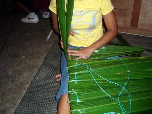 frondlet pairs frondlet pairs