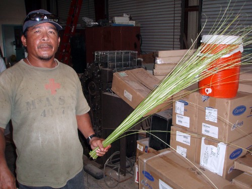 local-broom local-broom