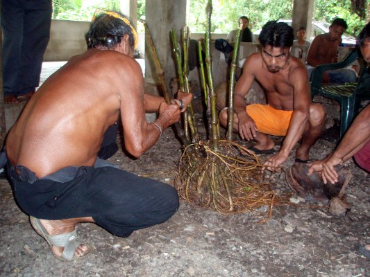 Preparation of sakau Preparation of sakau