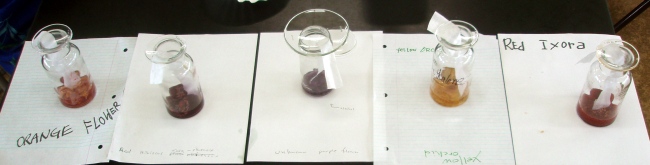 chromatography_setup chromatography_setup