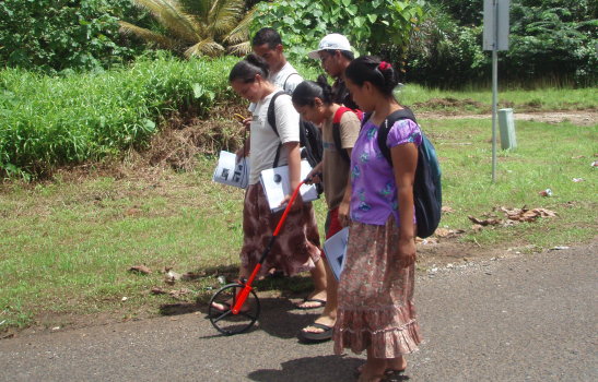 surveying surveying