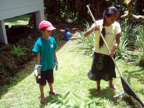 Supervised raking Supervised raking