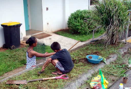 gardeners gardeners