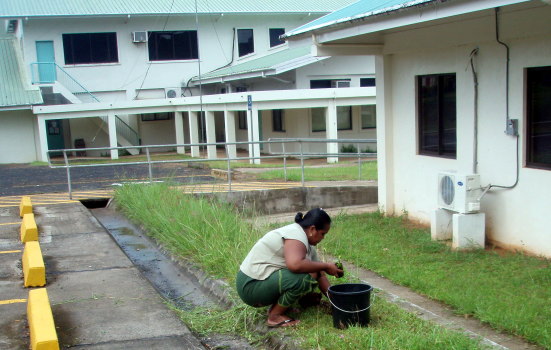 chiefgardener chiefgardener