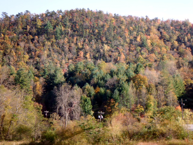 Brevard