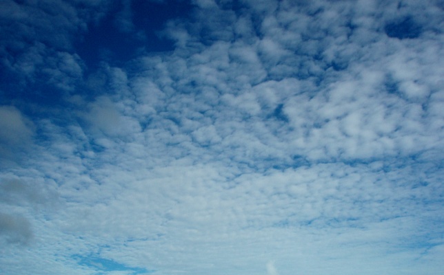 altocumulus altocumulus