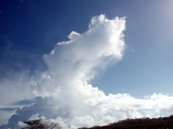 Cumulus castellanus Cumulus castellanus