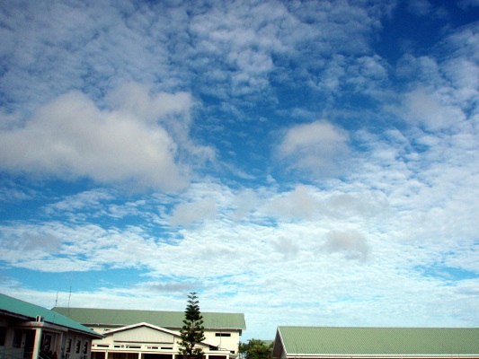 altocumulus altocumulus