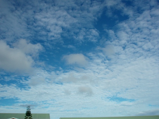 altocumulus altocumulus