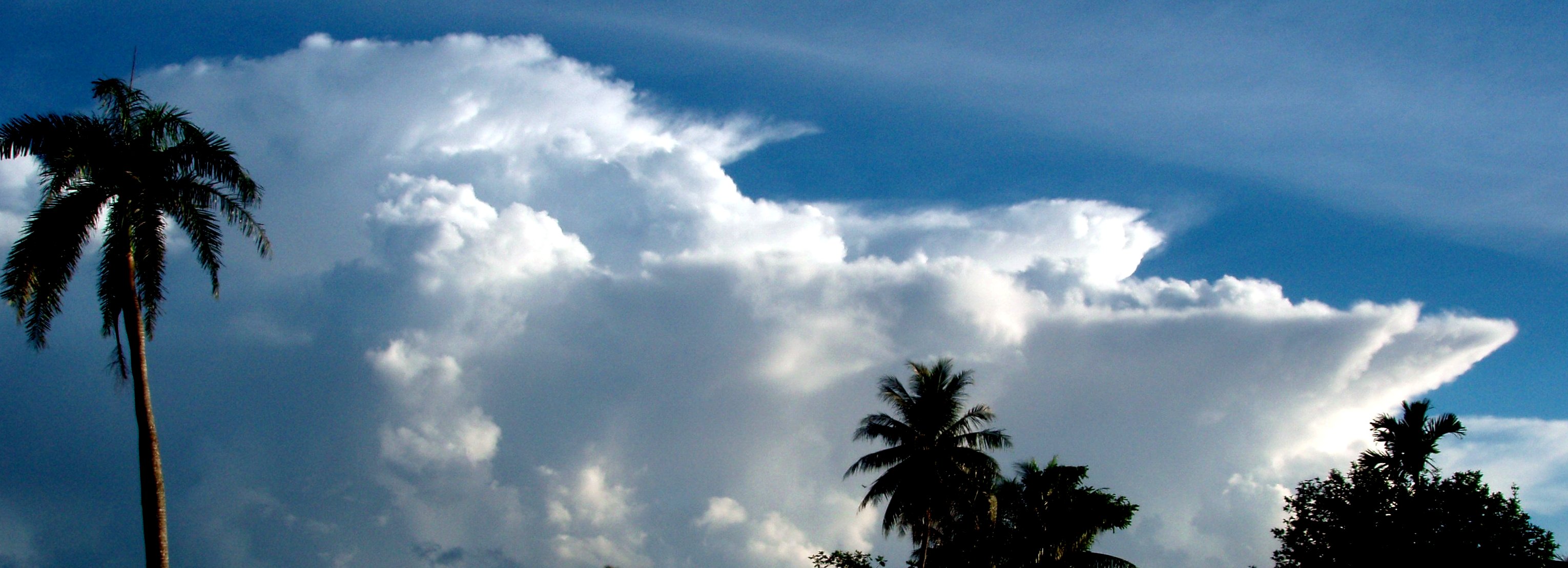 Cumulonimbus at 6:54 on the morning of 10 October 2007 east of Kolonia, Pohnpei Cumulus congestus builds into anvil-topped non-thunderheads only in Pohnpei