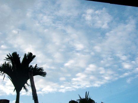 altocumulus clouds altocumulus clouds